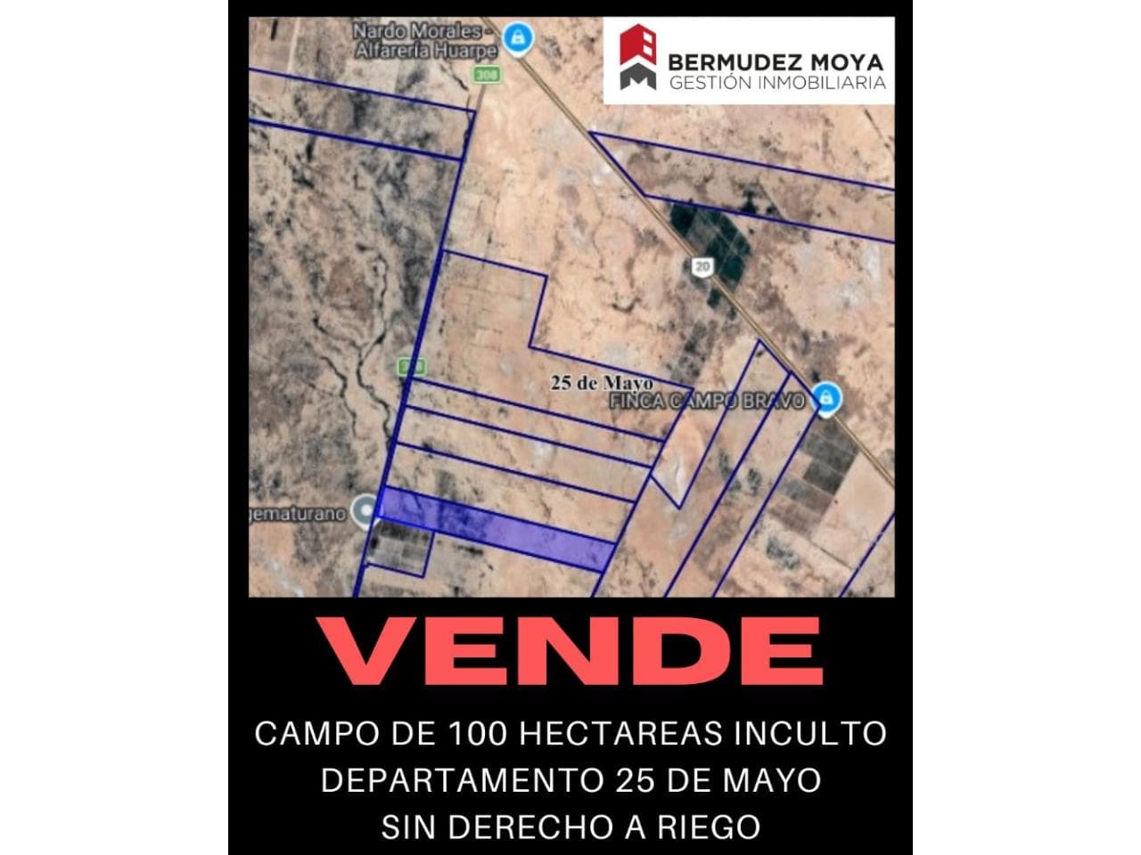 Venta. Campo Inculto De Casi 100 Hectáreas En 25 De Mayo, Zona Apta Pistacho, Listo Para Escriturar
