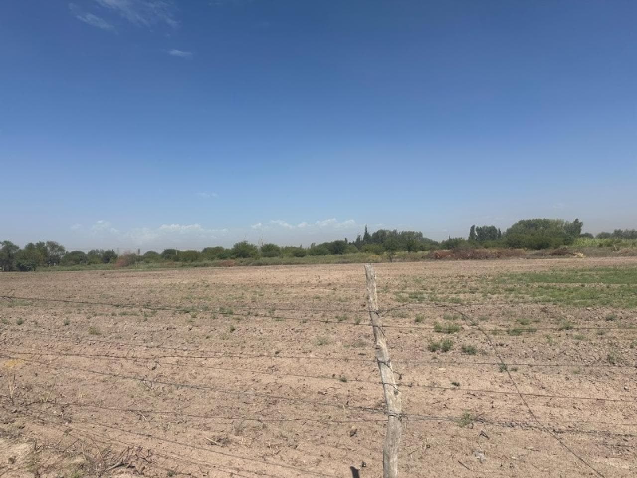 Venta. Importante Finca 6 Hectareas Y Media. Albardon