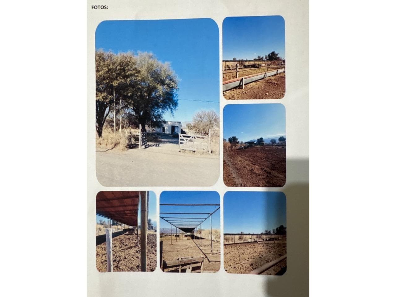Venta Finca 18 Has Con Casa, Galpón, Instalaciones Feedlots, Y Siembras De Alfalfa. Jachal