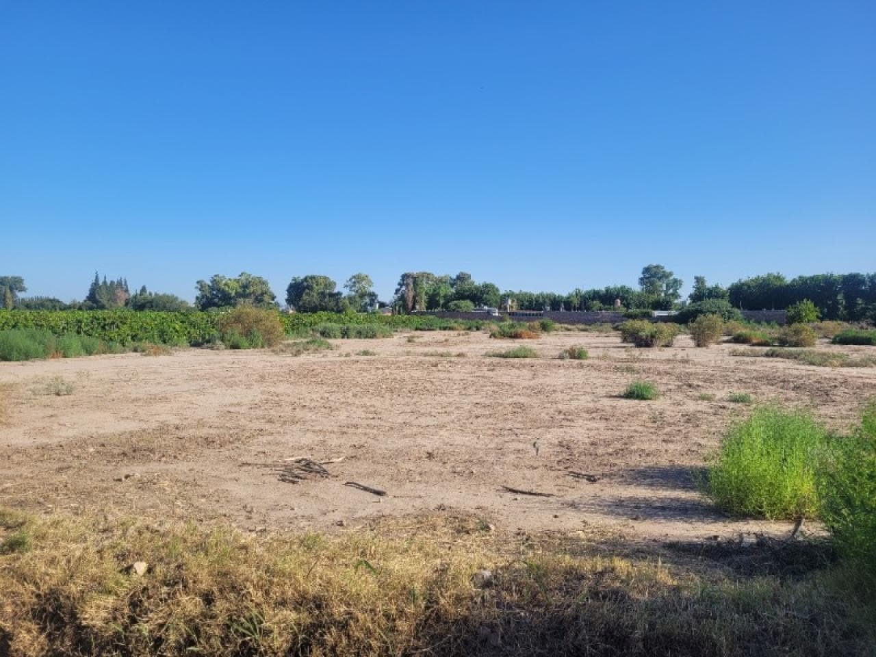 Lote En Venta - Albardón (calle Tucumán) - ¡escritura Inmediata