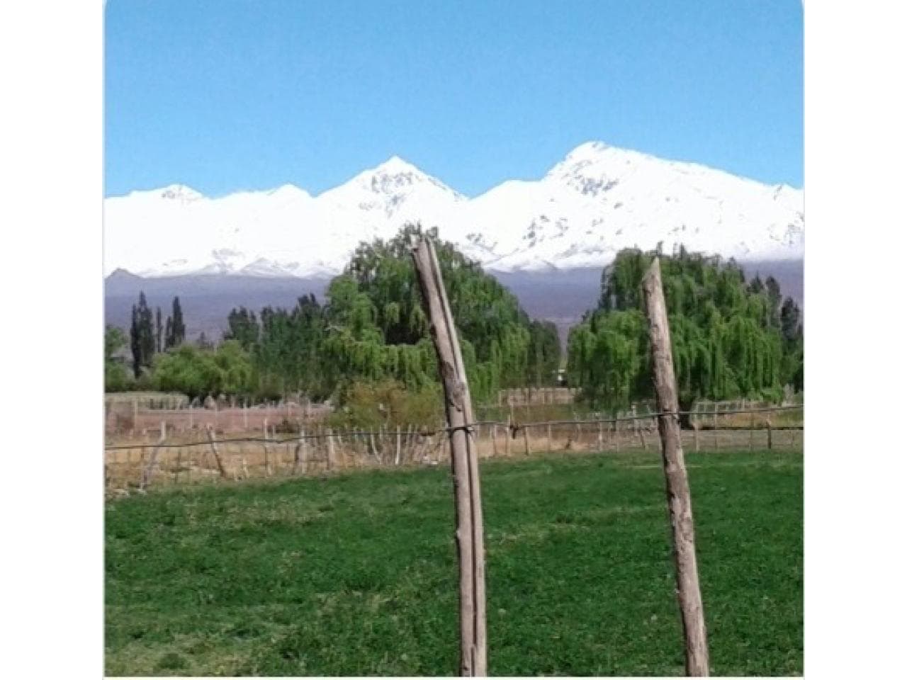 Venta. Terreno De 4,5 Hectáreas, En Barreal