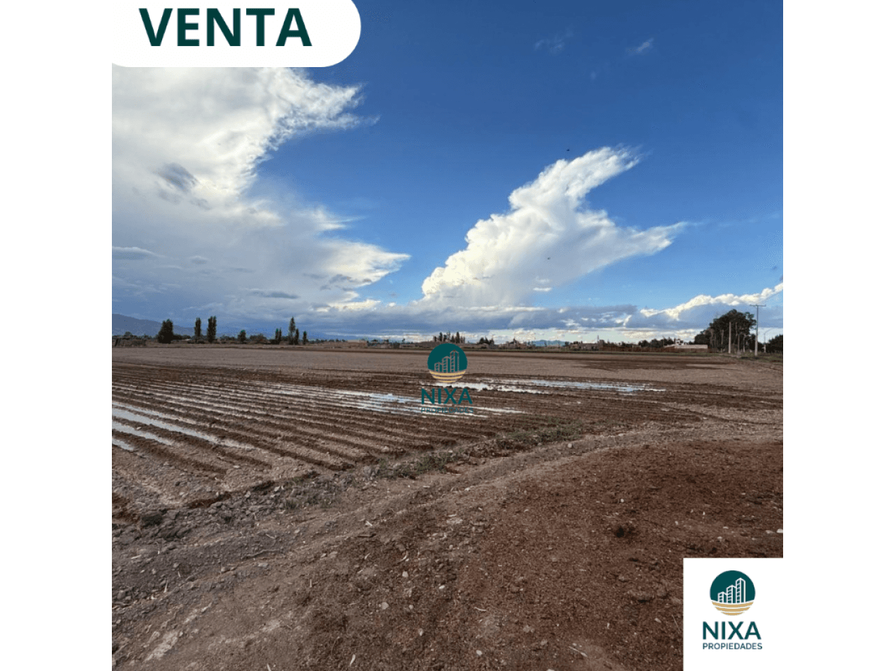 Venta Finca 4 Hectáreas- Pocito