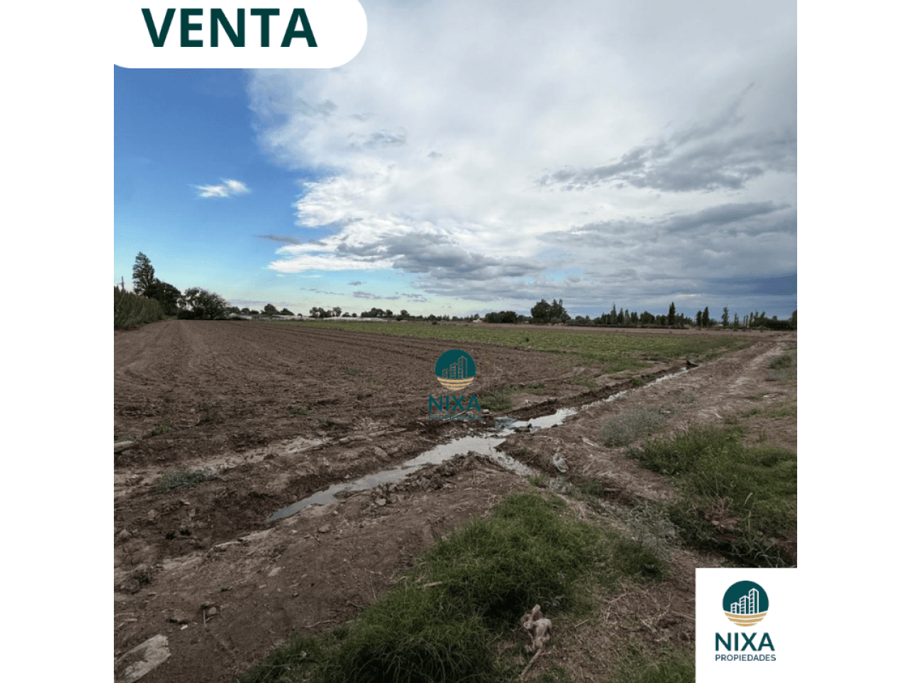 Venta Finca 4 Hectáreas Calle 10 Pocito