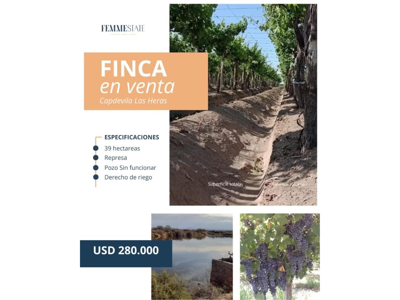 Venta De Finca En Capdevila - Las Heras  - Mendoza - Argentina