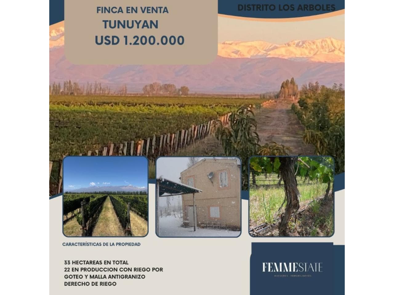 Venta De Finca En Tunuyan - Mendoza - Argentina