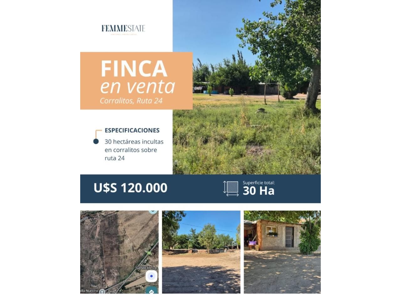 Venta De Finca De 30 Ha En Corralitos - Ruta 24 - Mendoza - Argentina