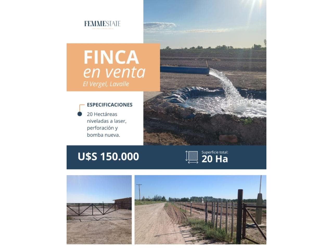 Finca De 20 Ha En Venta En Mendoza - El Vergel - Lavalle