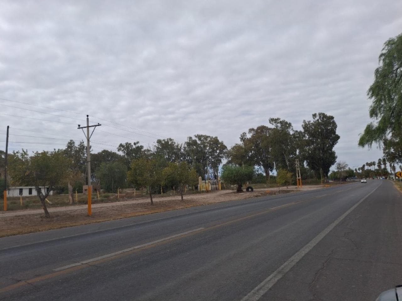 Atencion Empresas - Venta Fantastico Terreno Esquina De 4 Ha Sobre La Ruta N20 - Sta. Lucia.-