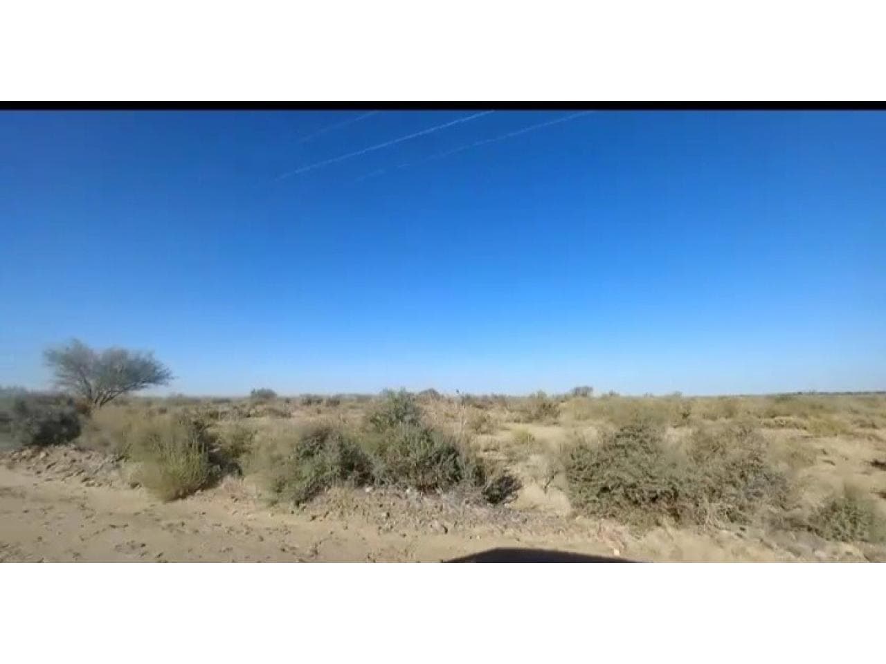 Campo 50 Hectáreas En 25 De Mayo Por Ruta 308, A 6km De Ruta 20, Con Los Dos Campos Vecinos En Producción