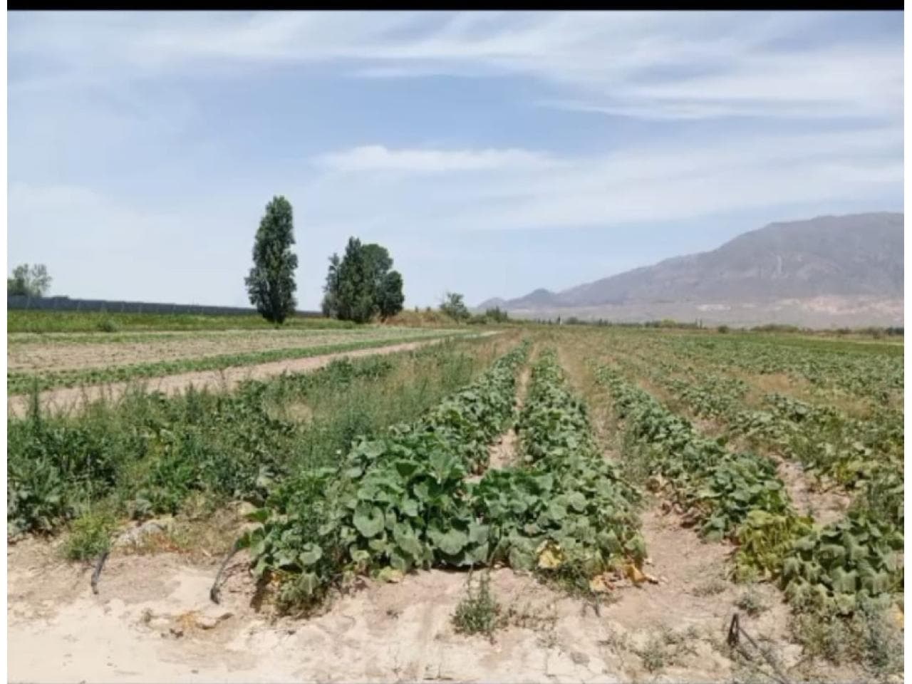 Venta De Finca De 1 Hectárea 6664,74 Metros