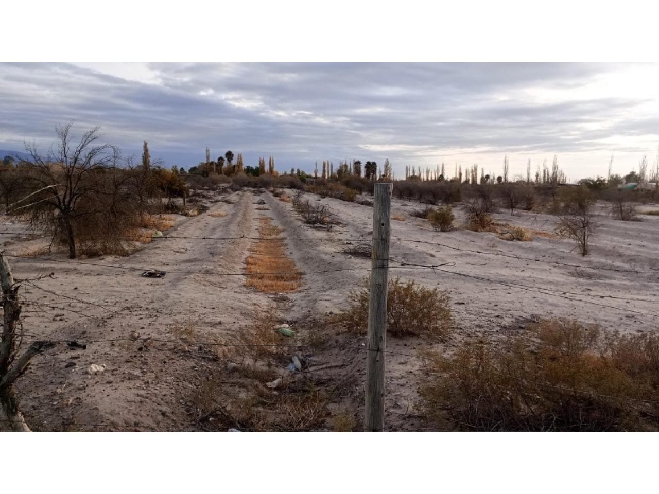 Venta Terreno En Santa Lucia