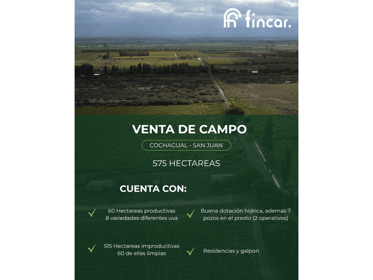 Venta Finca De 475 Ha Con Viñedos En Producción Y Gran Disponibilidad De Agua  Oportunidad De Escala. Sarmiento