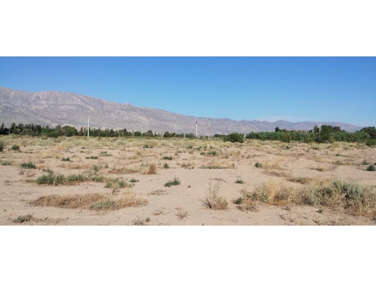 Tierra En Blanco