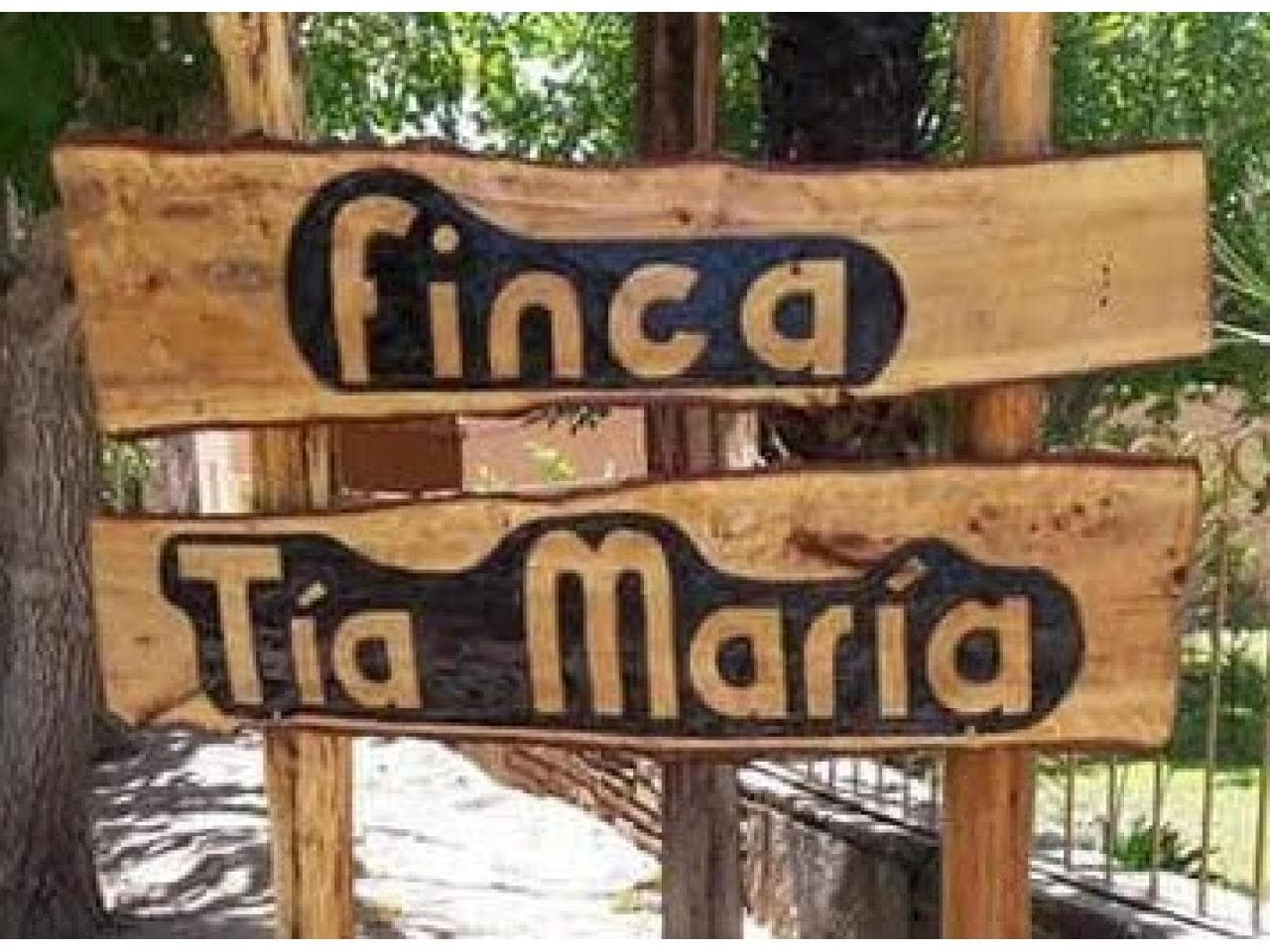 Vendo Finca Tia Maria En Albardon Permuto Por Casa