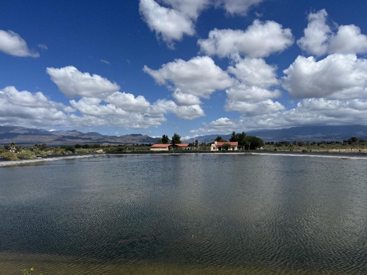 Venta - 277has Agrícolas Con Riego Y Reservorio - Jachal