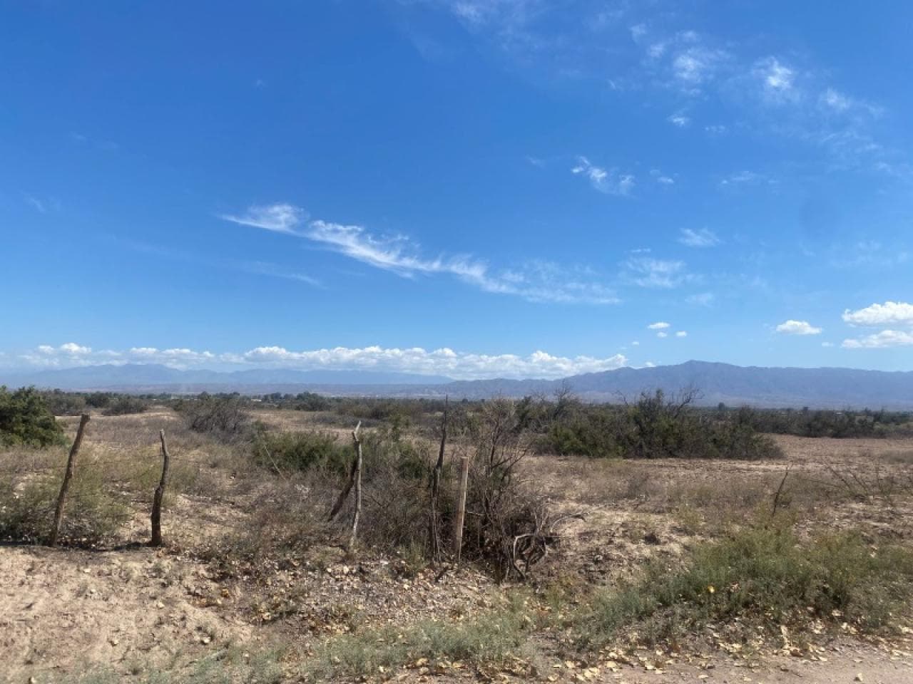 Venta Lotes De 10 Y 7 Hectáreas. Albardon