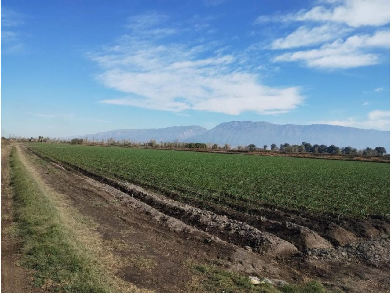 Venta Campo De 6 Hectareas. Sobre Calle 10. Pocito. Mls#420981159-56