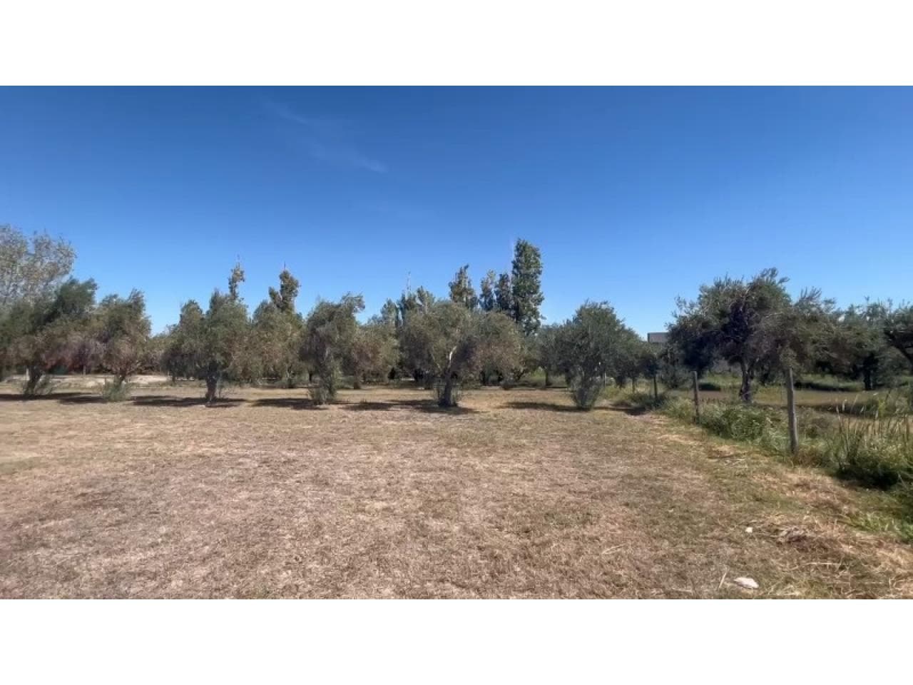 Terrenos De 1500 M2 En Venta/financiación "los Nogales" - Santa Lucía