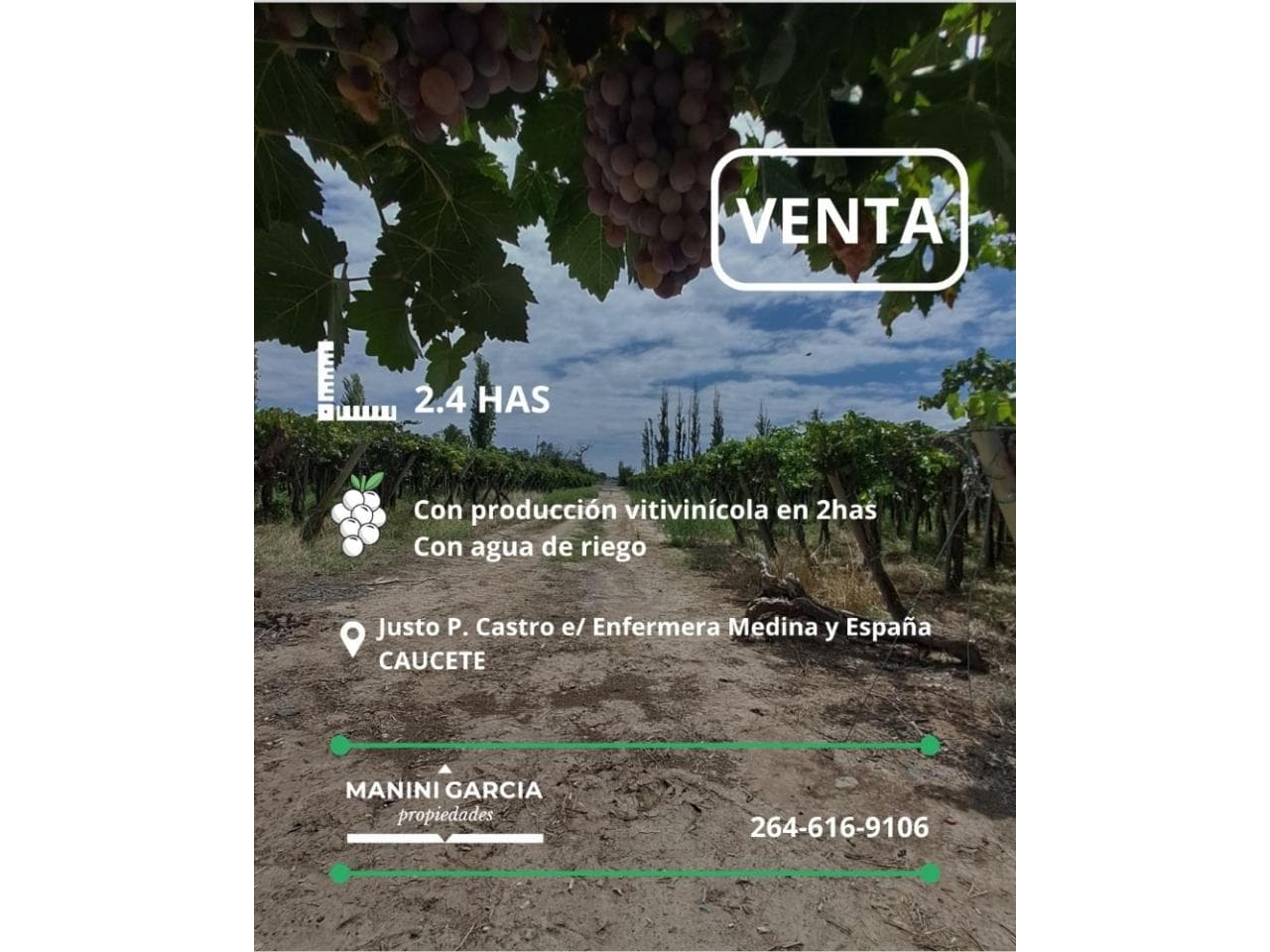 Finca 2.4has - Con Produción De Uva - Caucete
