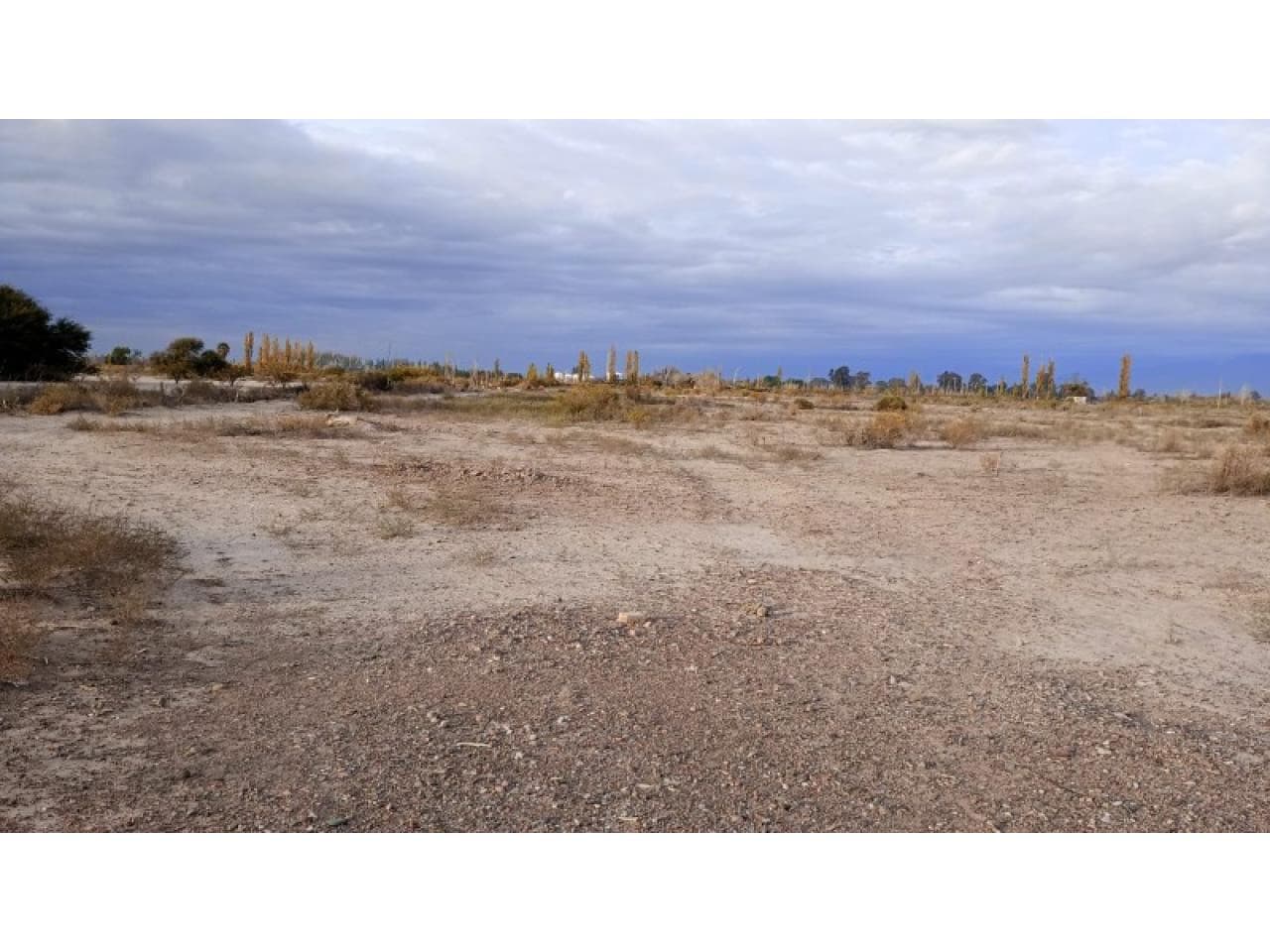 Venta Extenso Terreno Por Avda. Benavidez. El Mogote