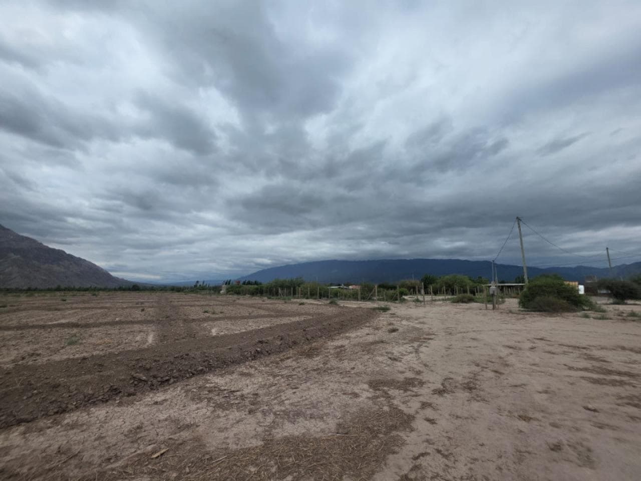 Venta Terreno De 9  Hectares Ideal Loteo. Zonda