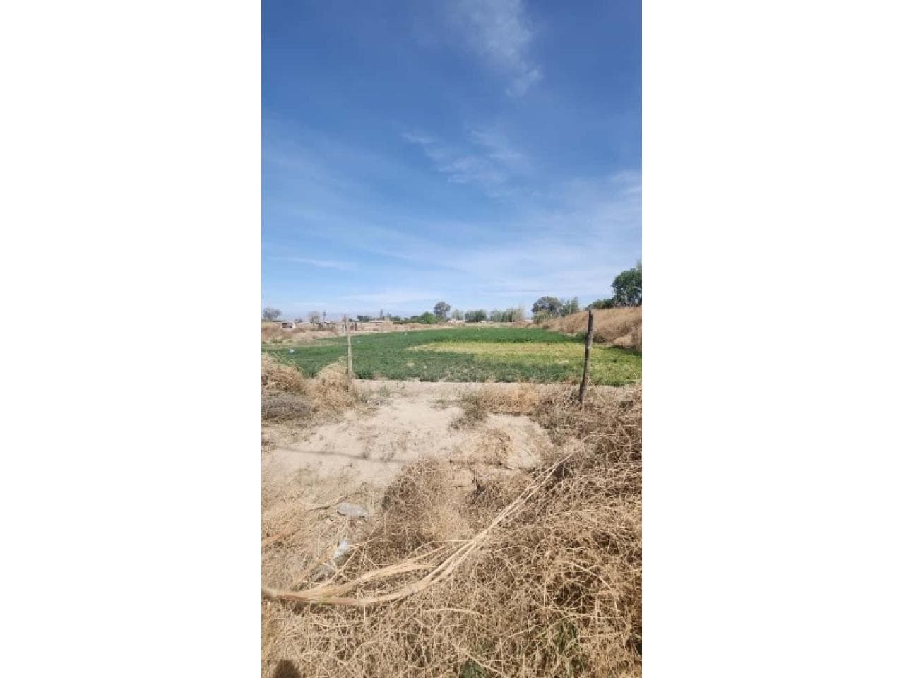 Venta. Terreno 1500m² Colonia Gutierrez. Santa Lucia