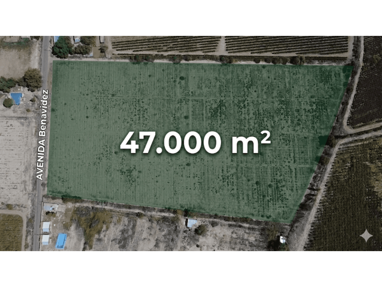 Venta Terreno Sobre Benavidez Oeste - 47.000 M² Dotación De Riego,  Servicios En Puerta