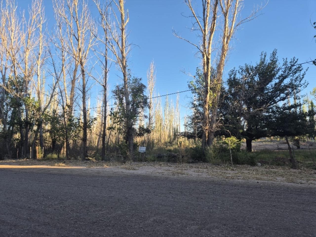 Alquiler- Terreno 11.000m2, Ideal Uso Comercial- Barreal