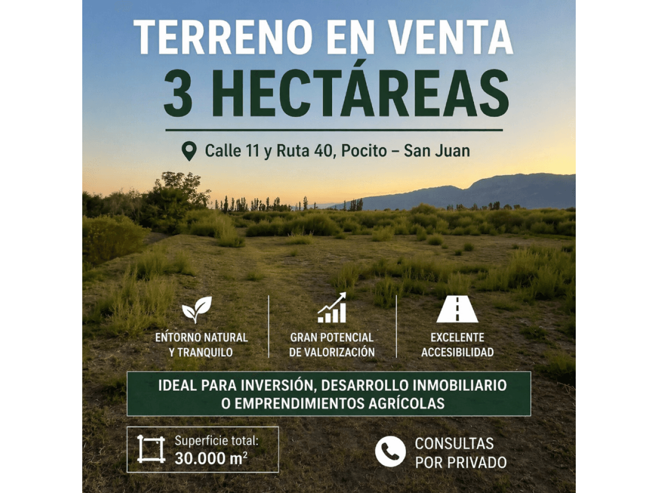 Venta Terreno 3ha - Calle 11 Y Ruta 40. Pocito