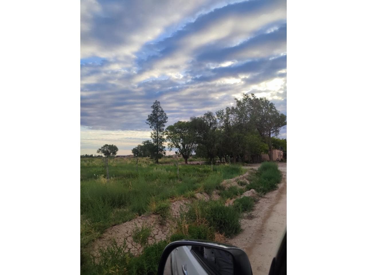 Venta Finca En Mendoza De 130h Con Goteo. Produciendo.