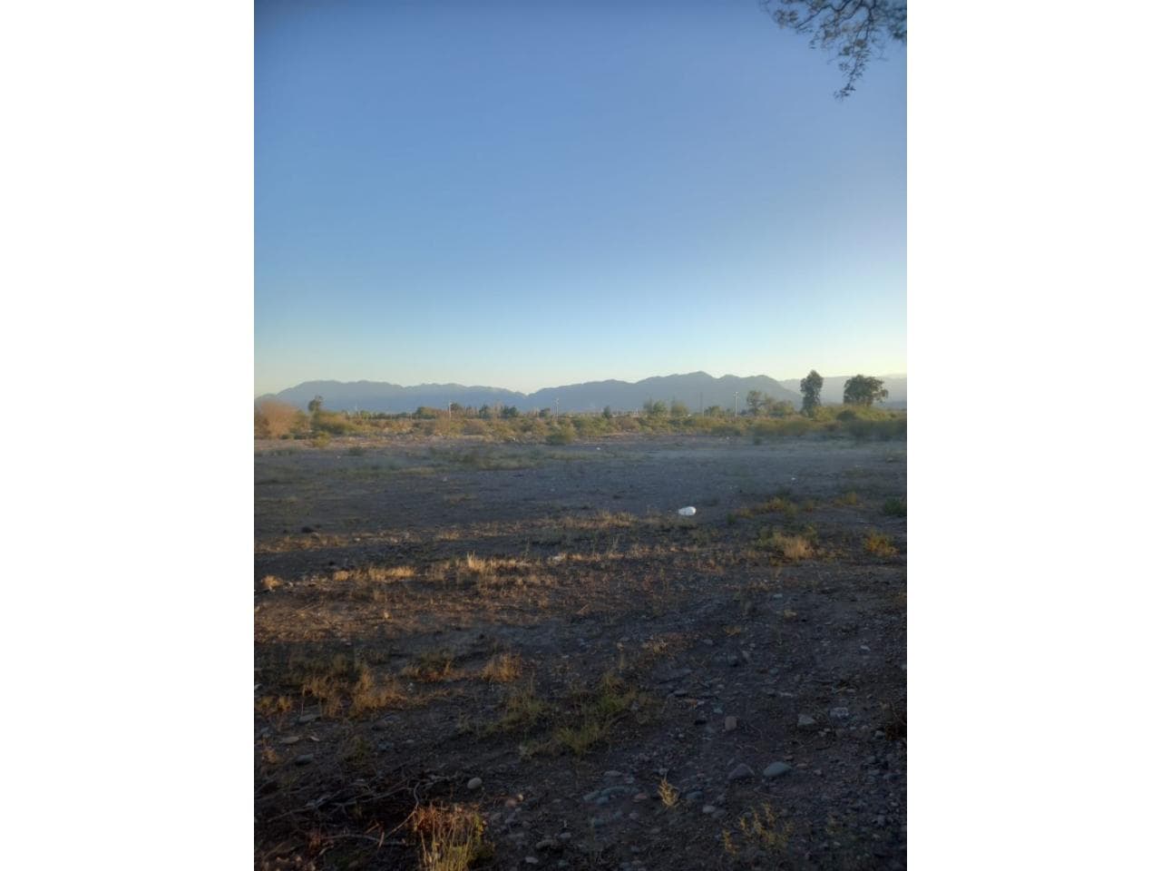 Vendo/financio Lotes En Rivadavia.