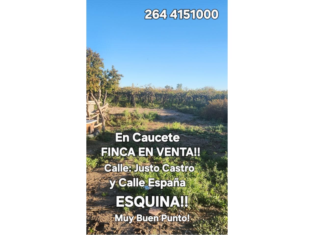 Finca En Caucete Vendo  85mil Dólares