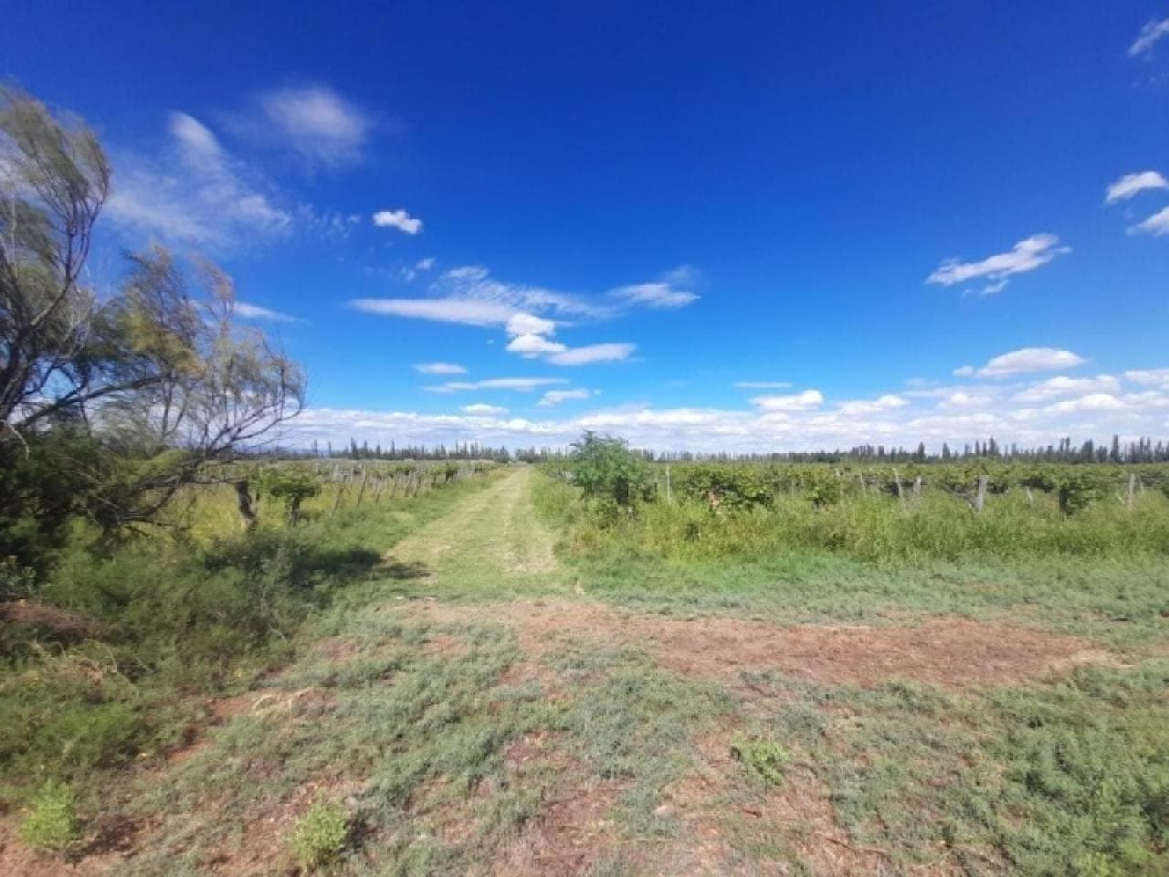 Venta. Finca Para Cultivo 22 Hectareas