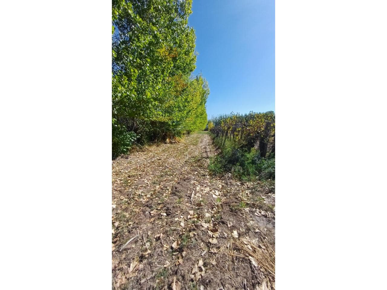 Venta. Finca En Sarmiento