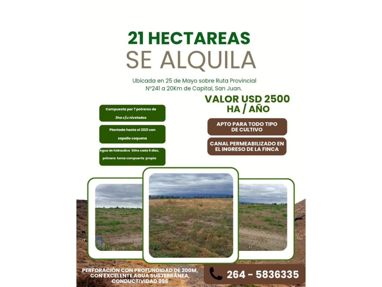 Alquilo 21 Ha. En 25 De Mayo Apta Para Cultivo