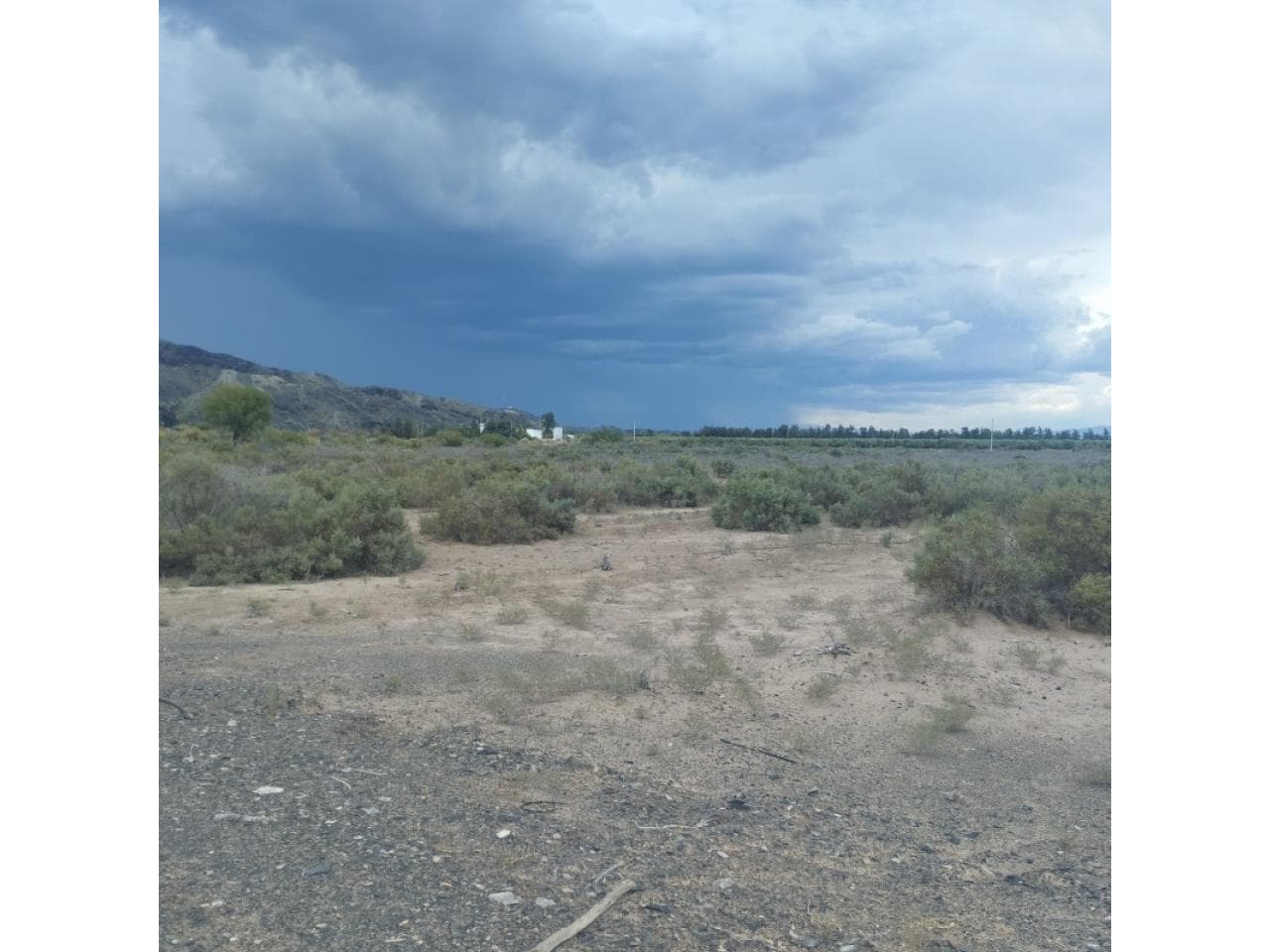 Venta Campo 250 Ha
