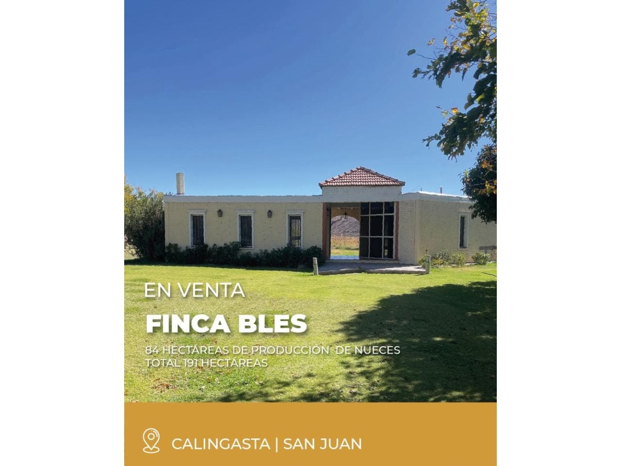 Venta Finca Bless. Nogales. Nueces