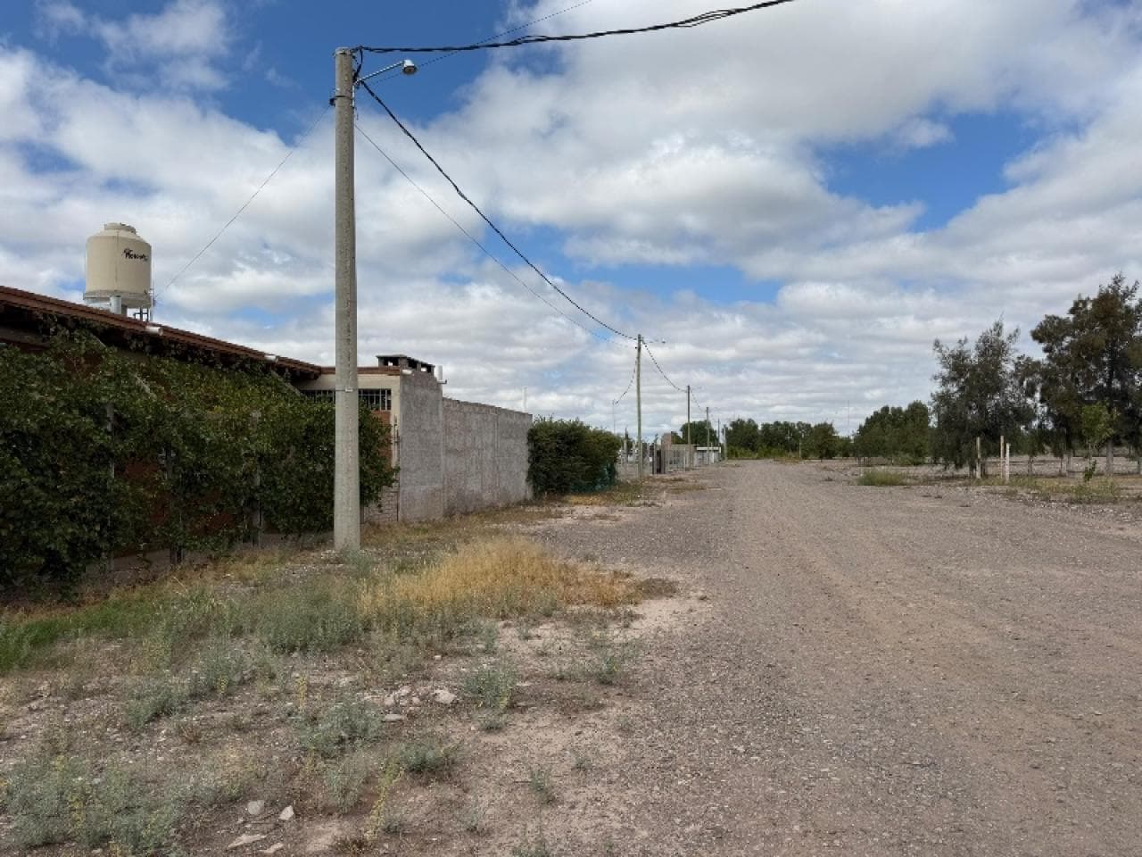 Venta. Urgente ‼️ Liquido Lote En Albardón
