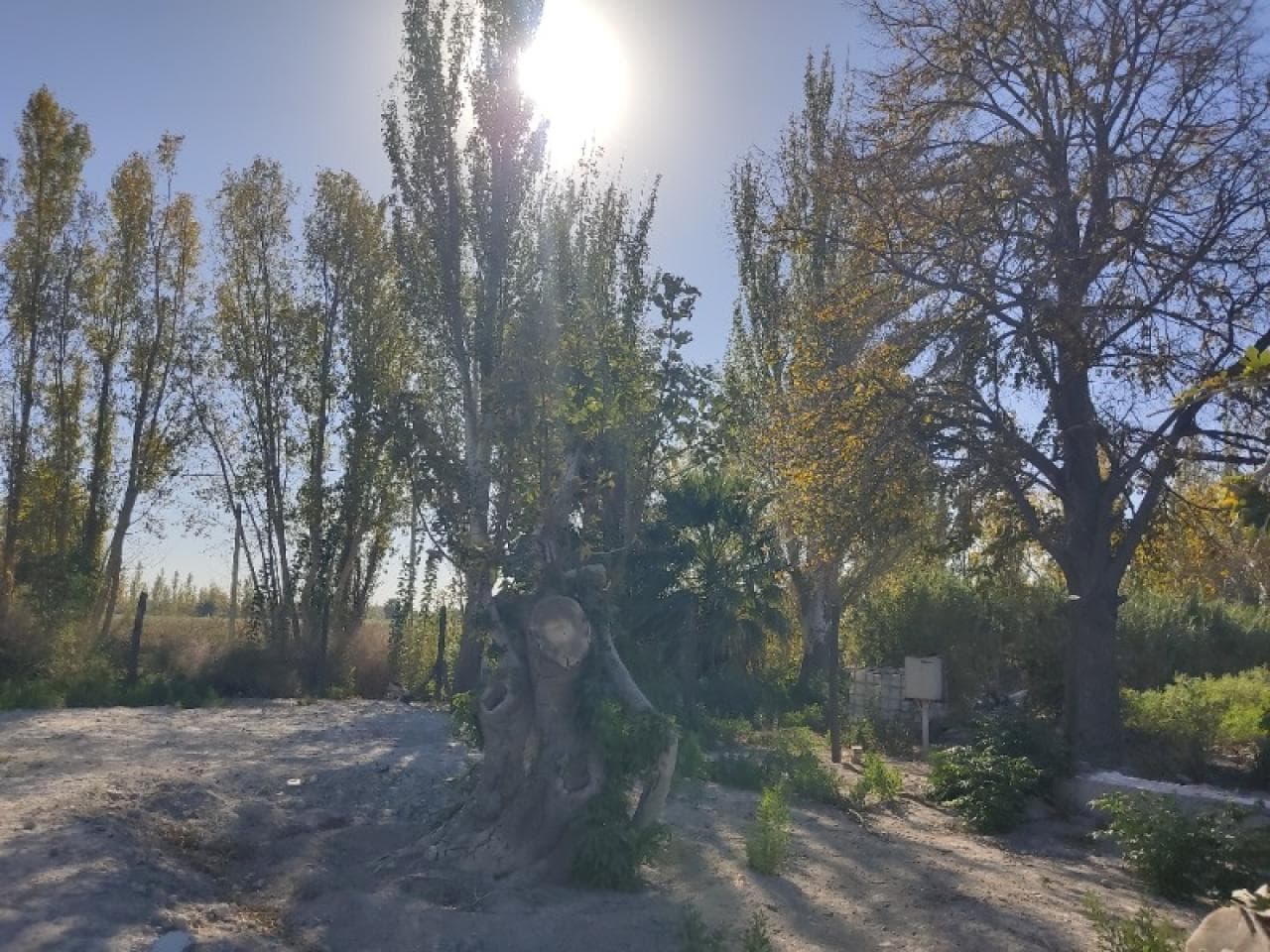 Venta Lote Medano De Oro, America Y 7