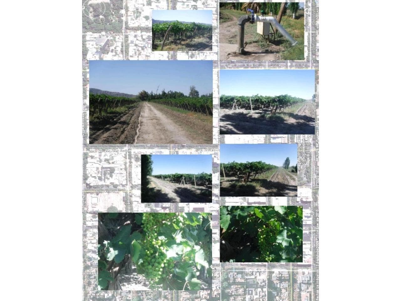 Venta Importante Finca De 110 Hectareas
