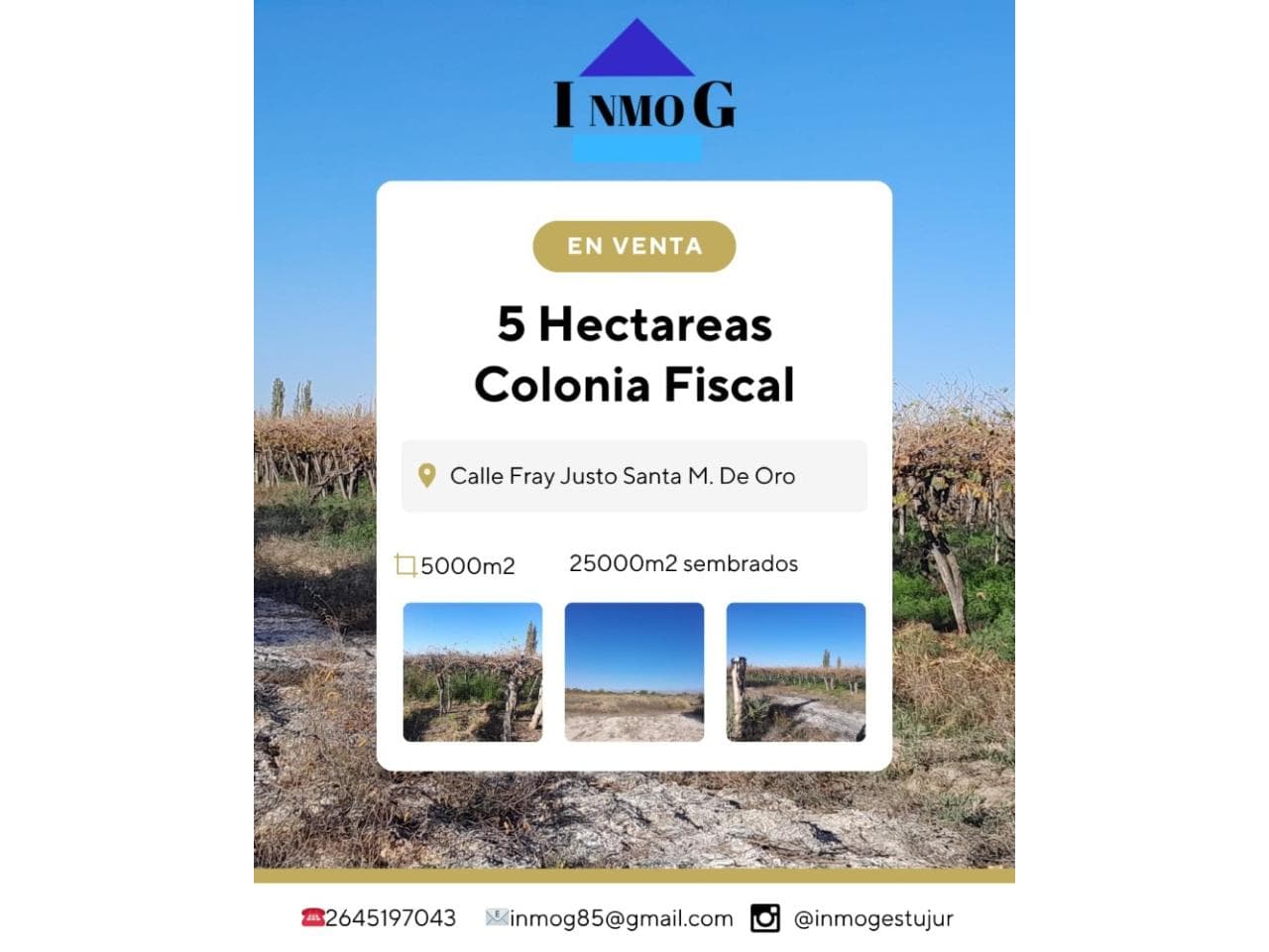 Inmog Venta 5 Hectareas En Produccion. Sarmiento
