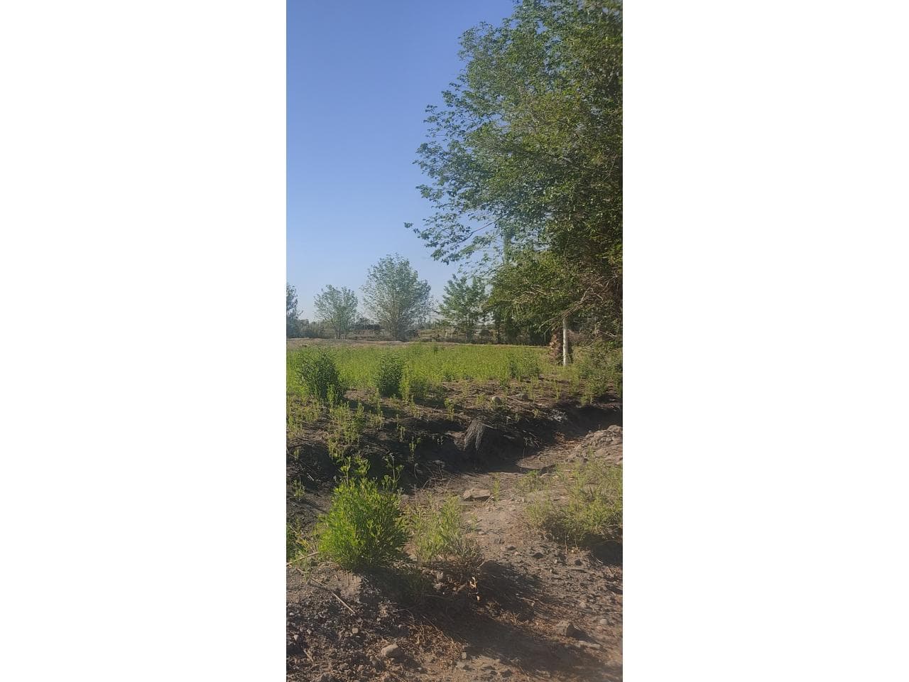 Venta Medano De Oro  Lotes A Calle Publica