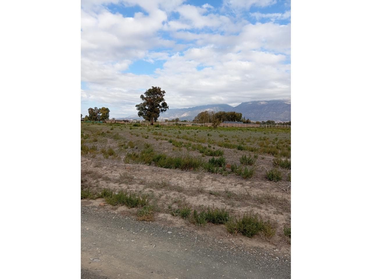 Venta. Hermoso Lote De 1500 Mts Con Todos Los Servicios Y Planos Aprobados. Pocito