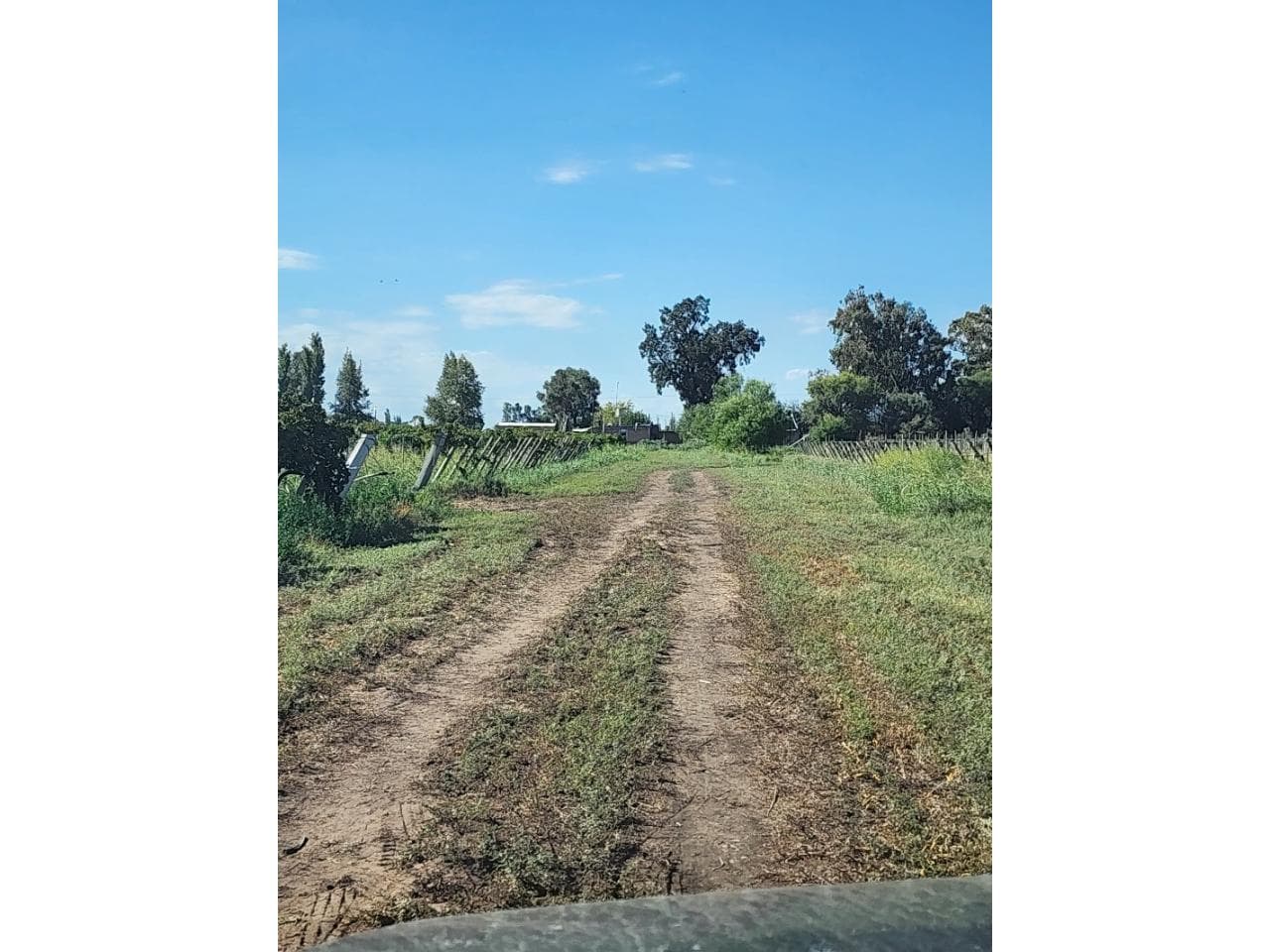 Venta Finca  En 25 De Mayo