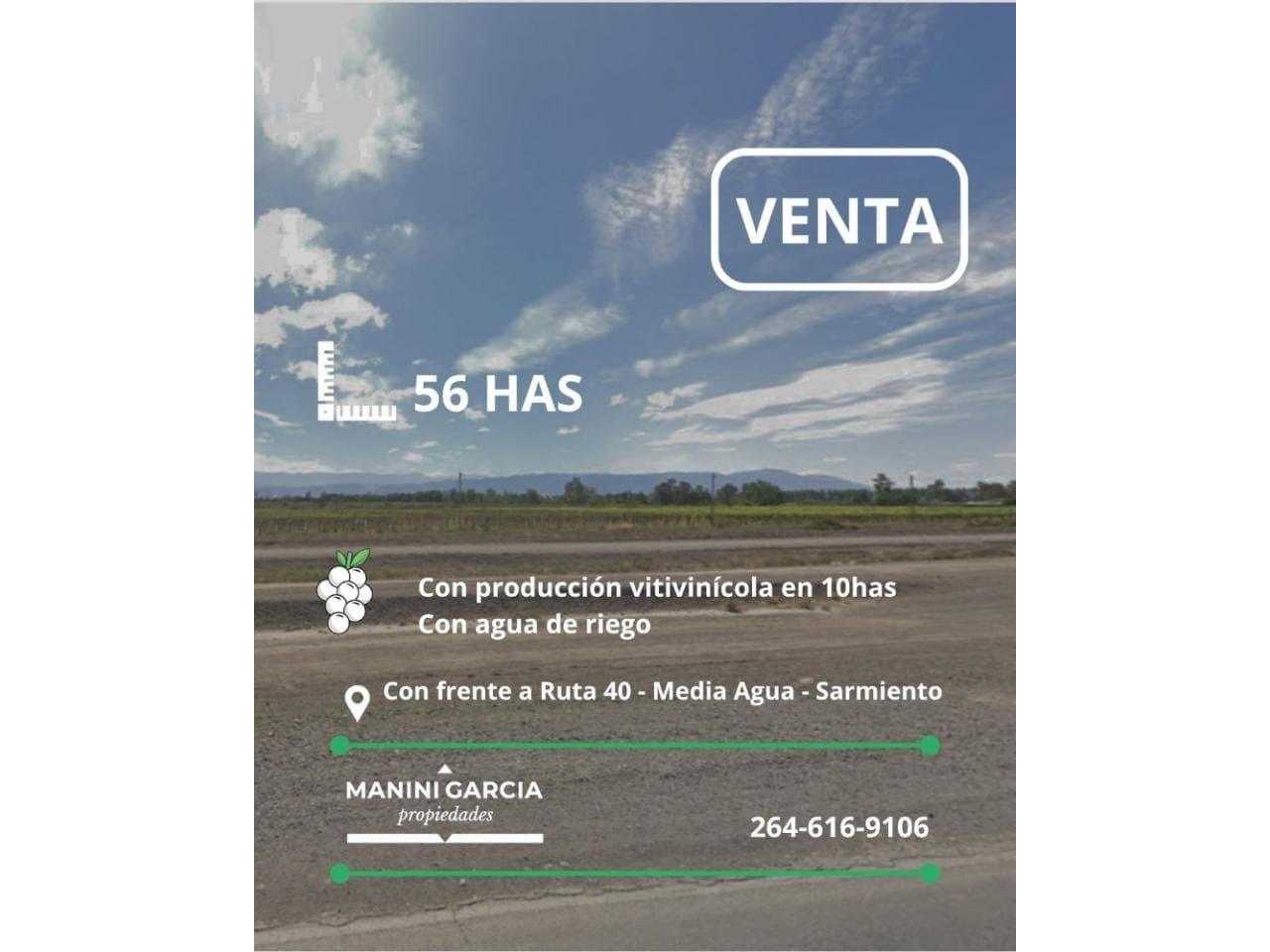 Venta Finca De 56 Has En Media Agua - Sarmiento - Con Produccion Vitivinicola