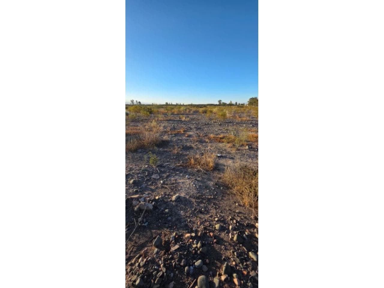 Venta Lote En Villa Tacu Sobre Calle Sancassani