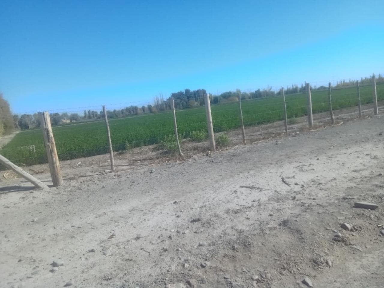 Vendo 5 Ha. En El Medano De Oro Sobre Calle América Detras Del Previo Gaucho Luz Y Agua Listo Para Escriturar 120 Mil