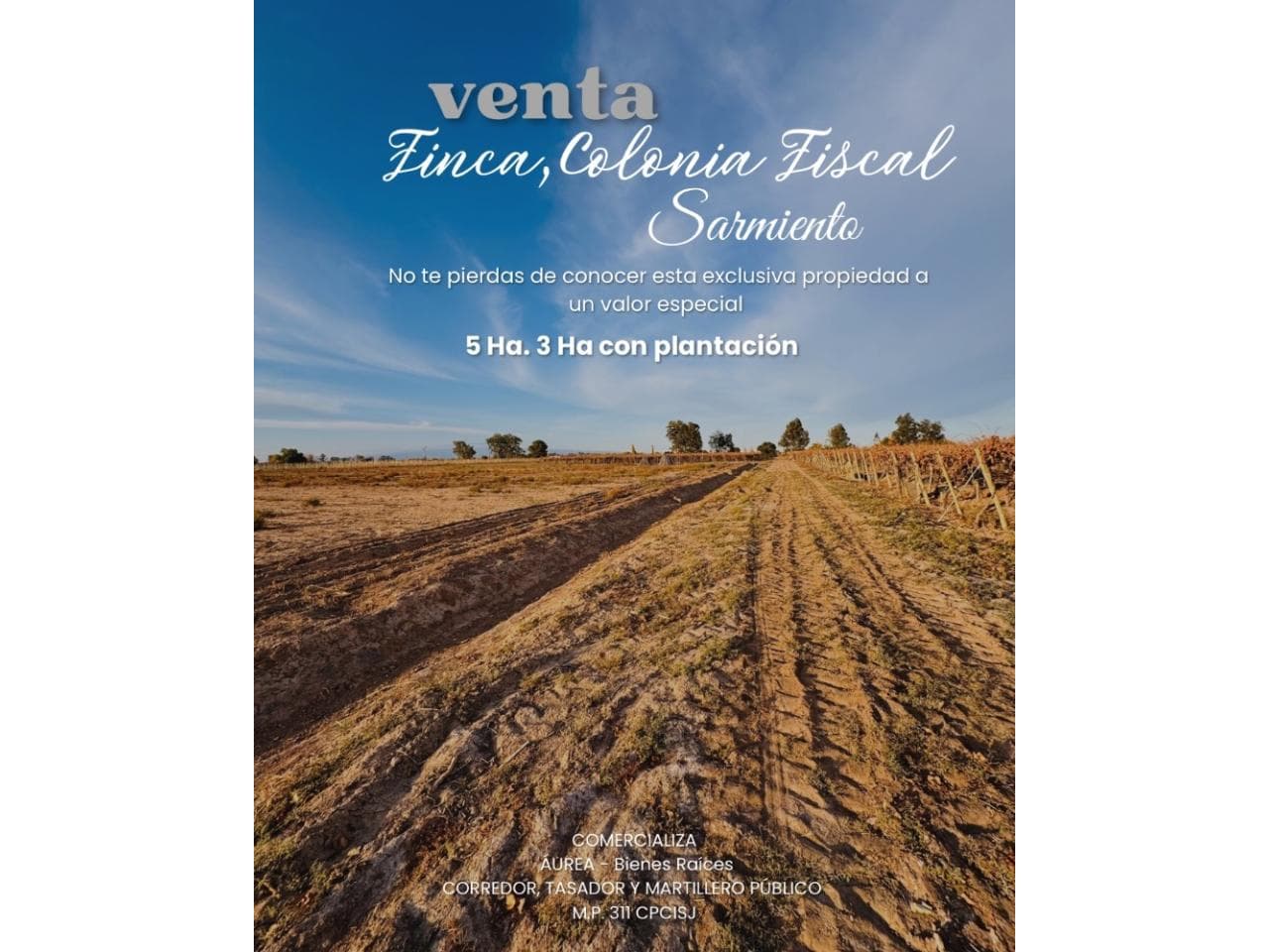 Finca 5 Ha. En Venta  Colonia Fiscal - Sarmiento