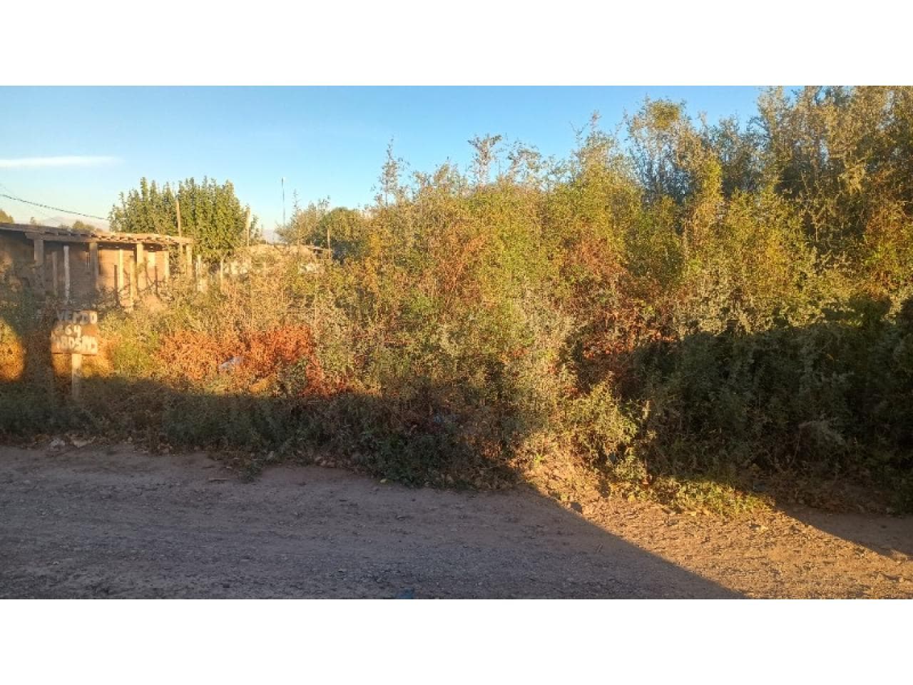Vendo Terreno En Albardon