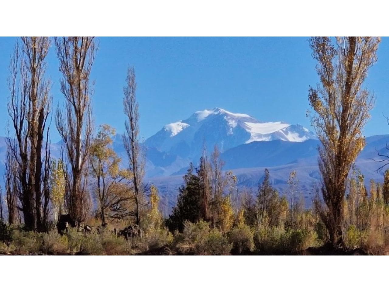 Venta Gran Terreno 1,12 Has En Barreal Sur. Mls#420981044-538